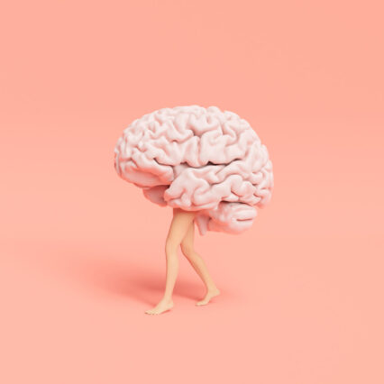 Elevating Pukka’s Unique Essence in the Digital Space